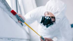 Best Pest Prevention Services  in Severna Park, MD